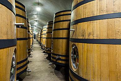 微软：10年时间足以让索尼开发出《使命召唤》竞品